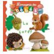 La forêt - Collection L'imagerie des bébés