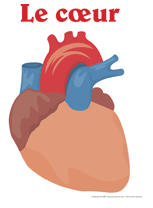 Ouvrir image c&oelig;ur